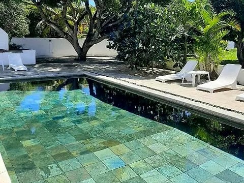 The green stone pool under the mango tree